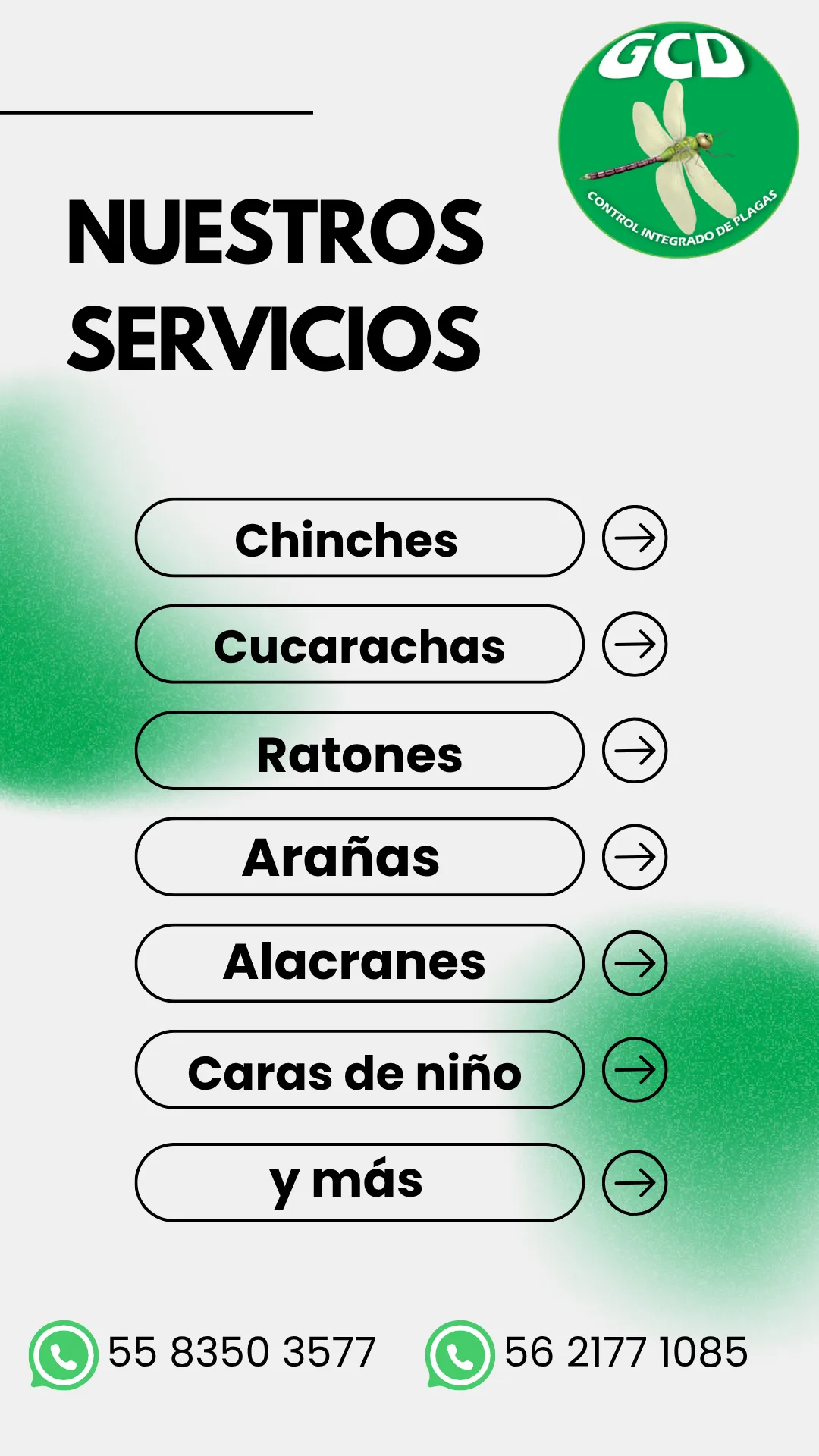Diseño 34