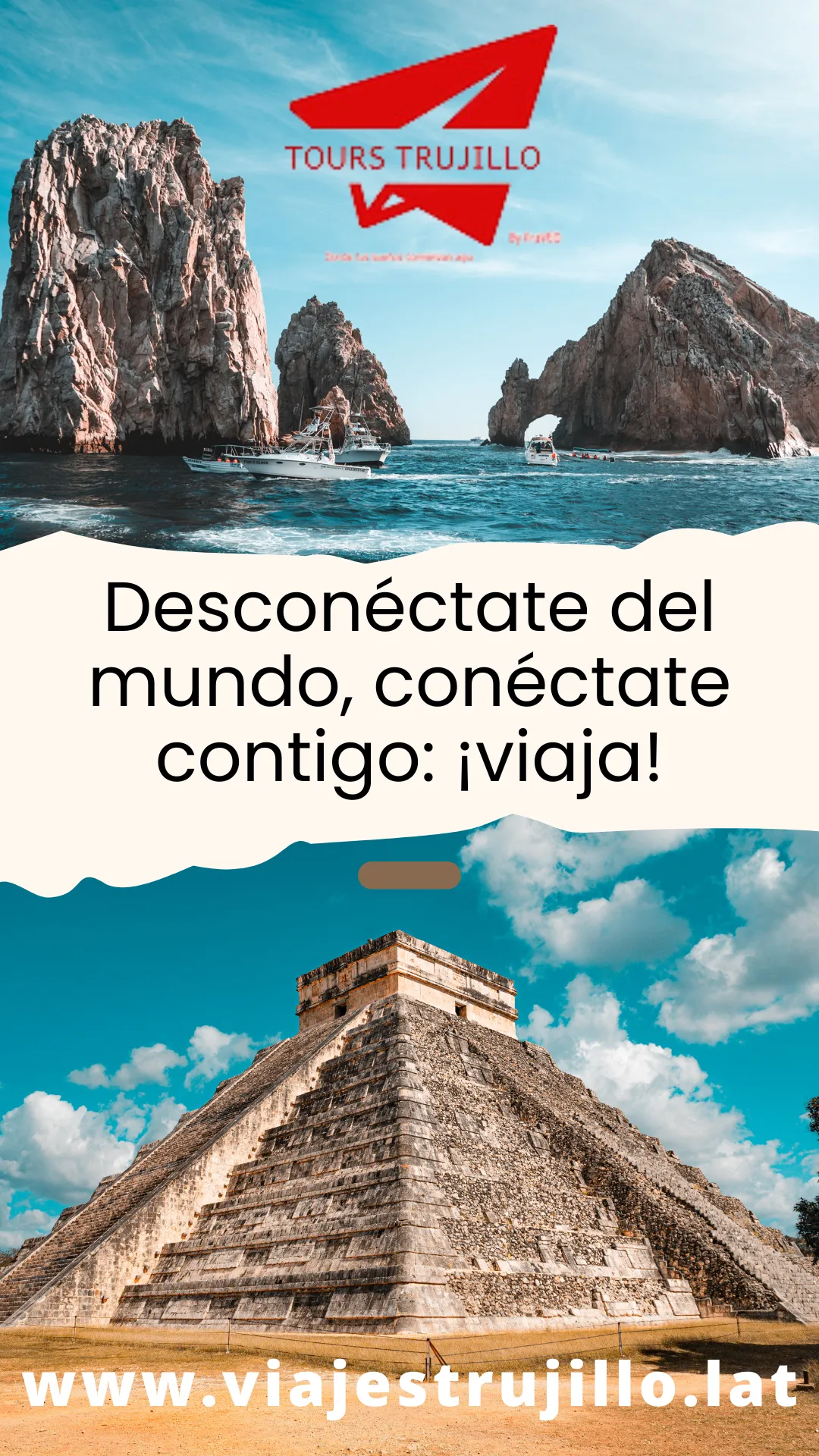 Diseño 54