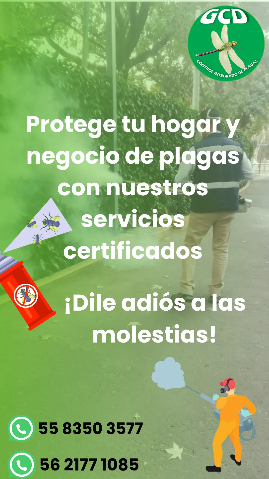 Diseño 58