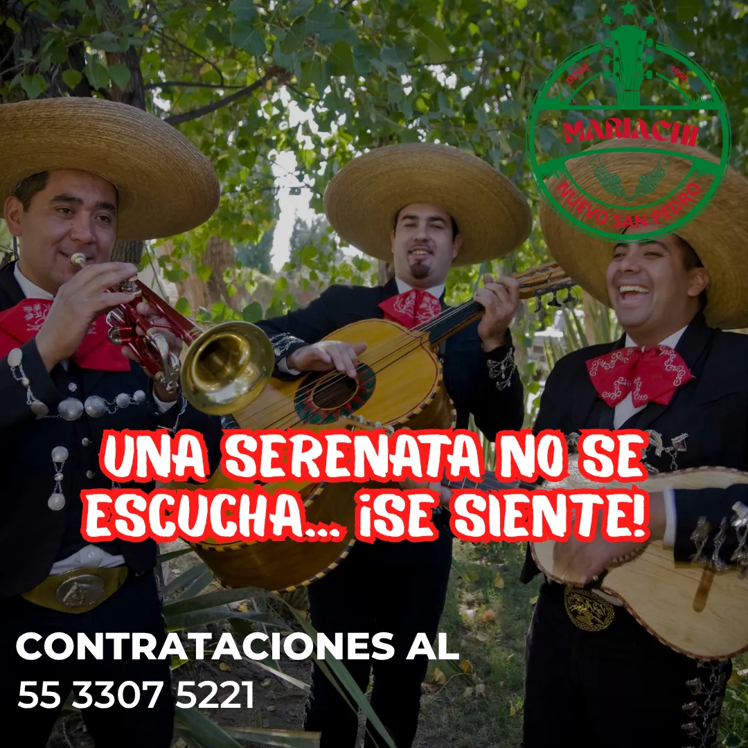 Diseño 83