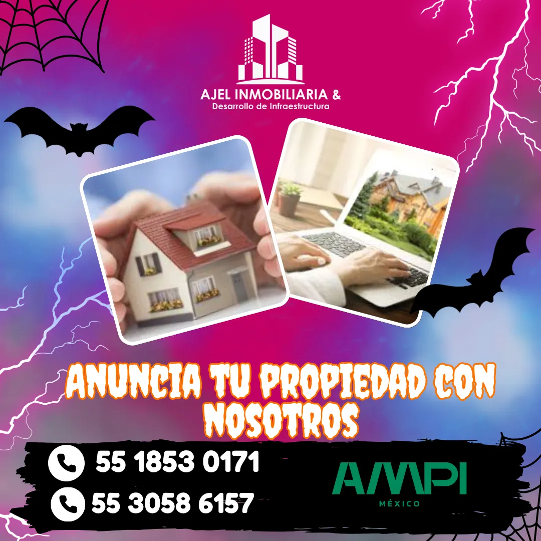 Diseño 51