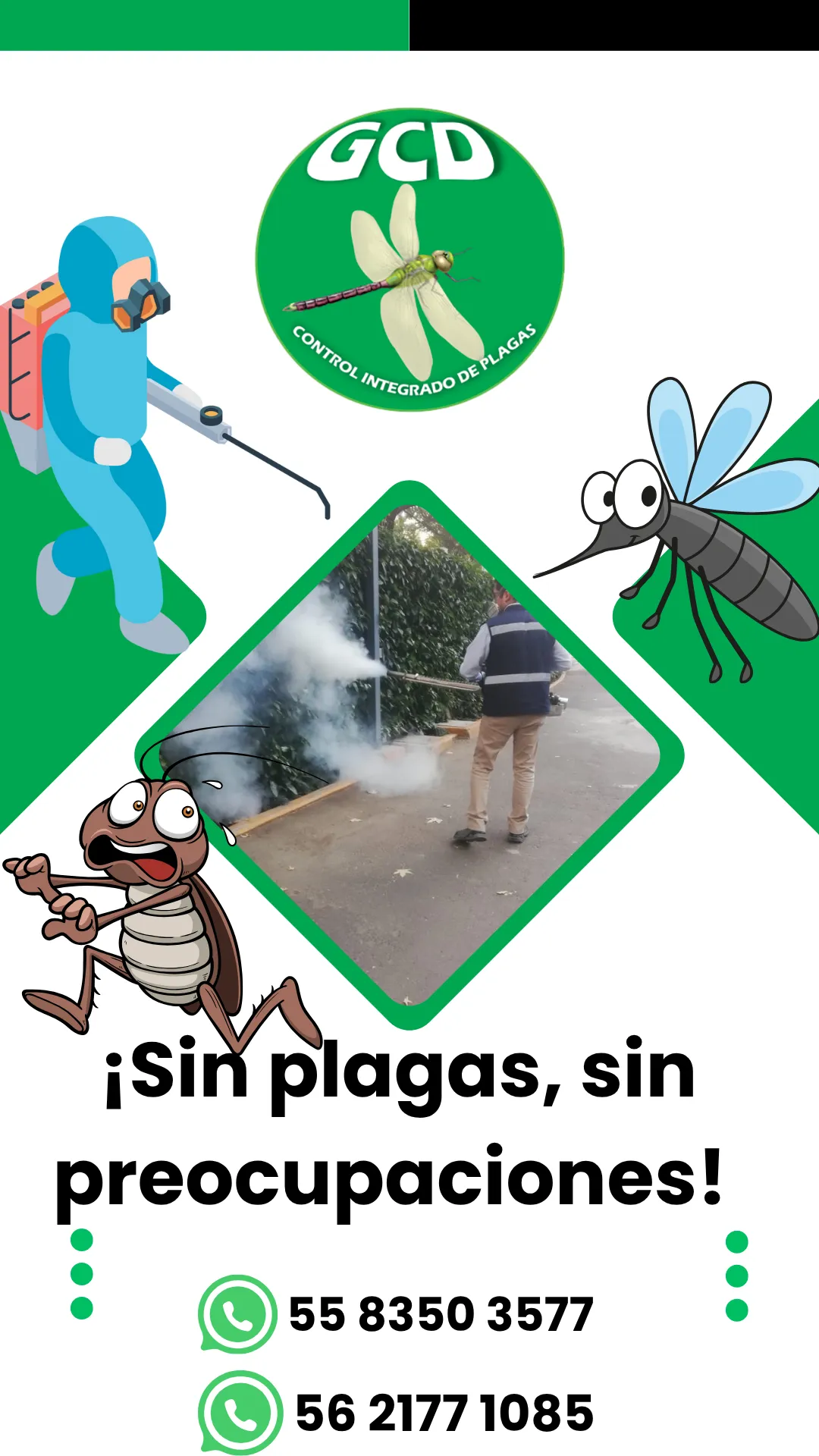 Diseño 148