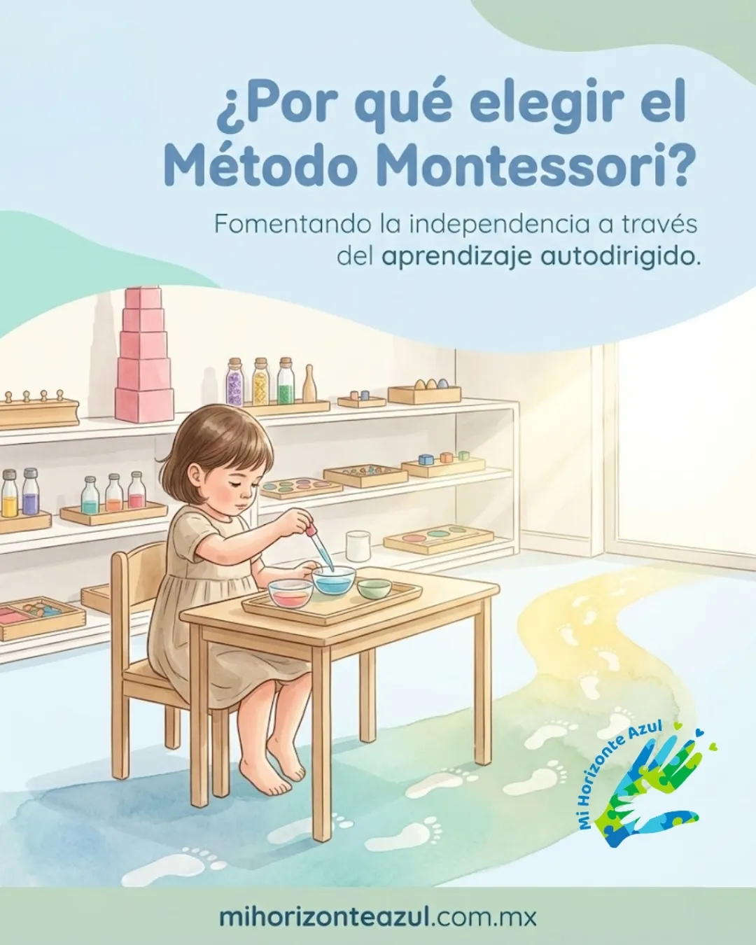 Diseño 62
