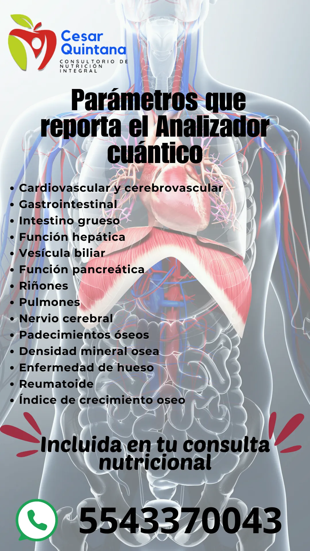 Diseño 67