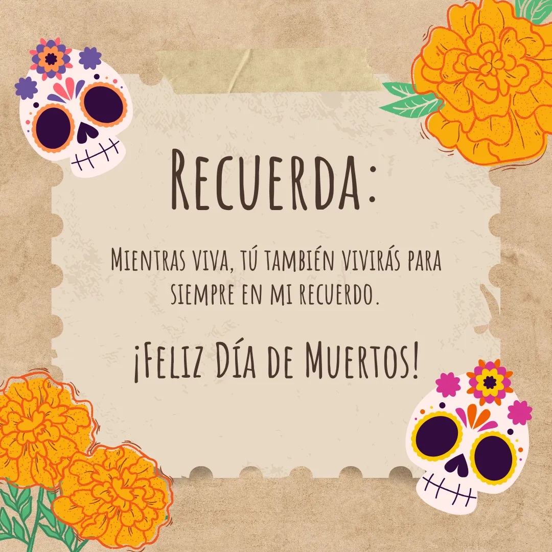 Diseño 57