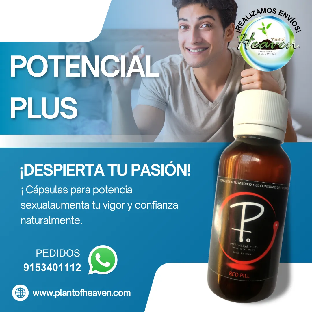 Diseño 6