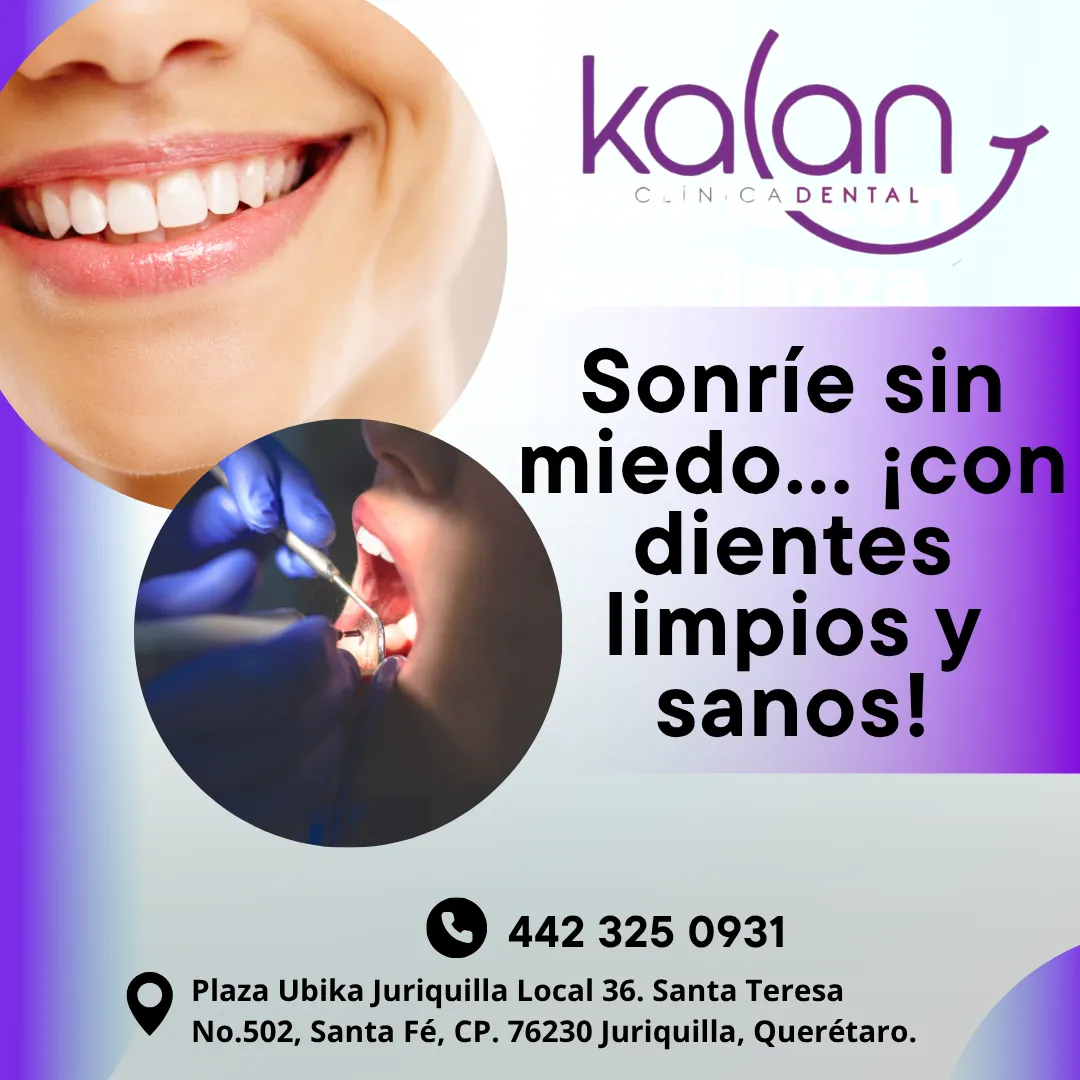 Diseño 99