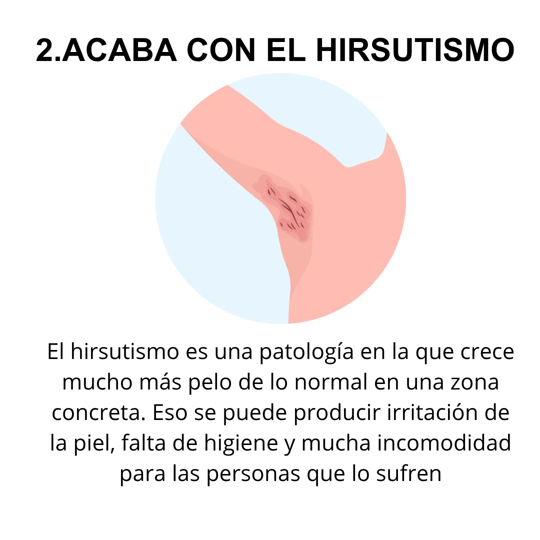 Diseño 15