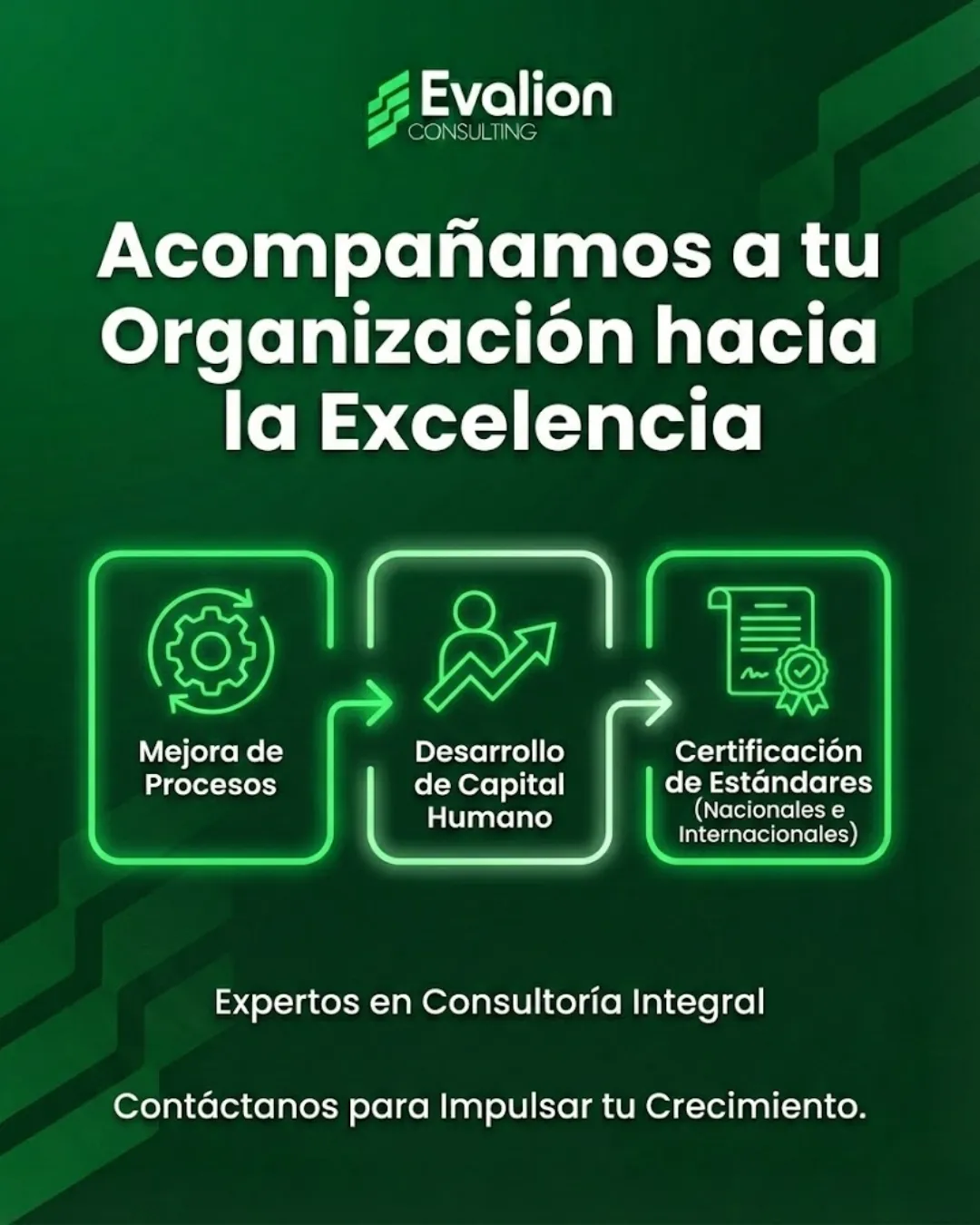 Diseño 2