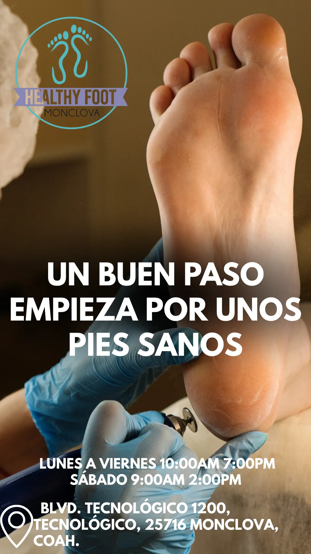 Diseño 107