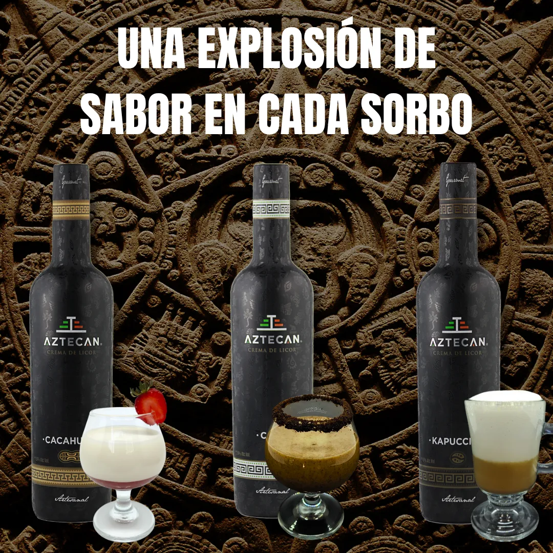 Diseño 13