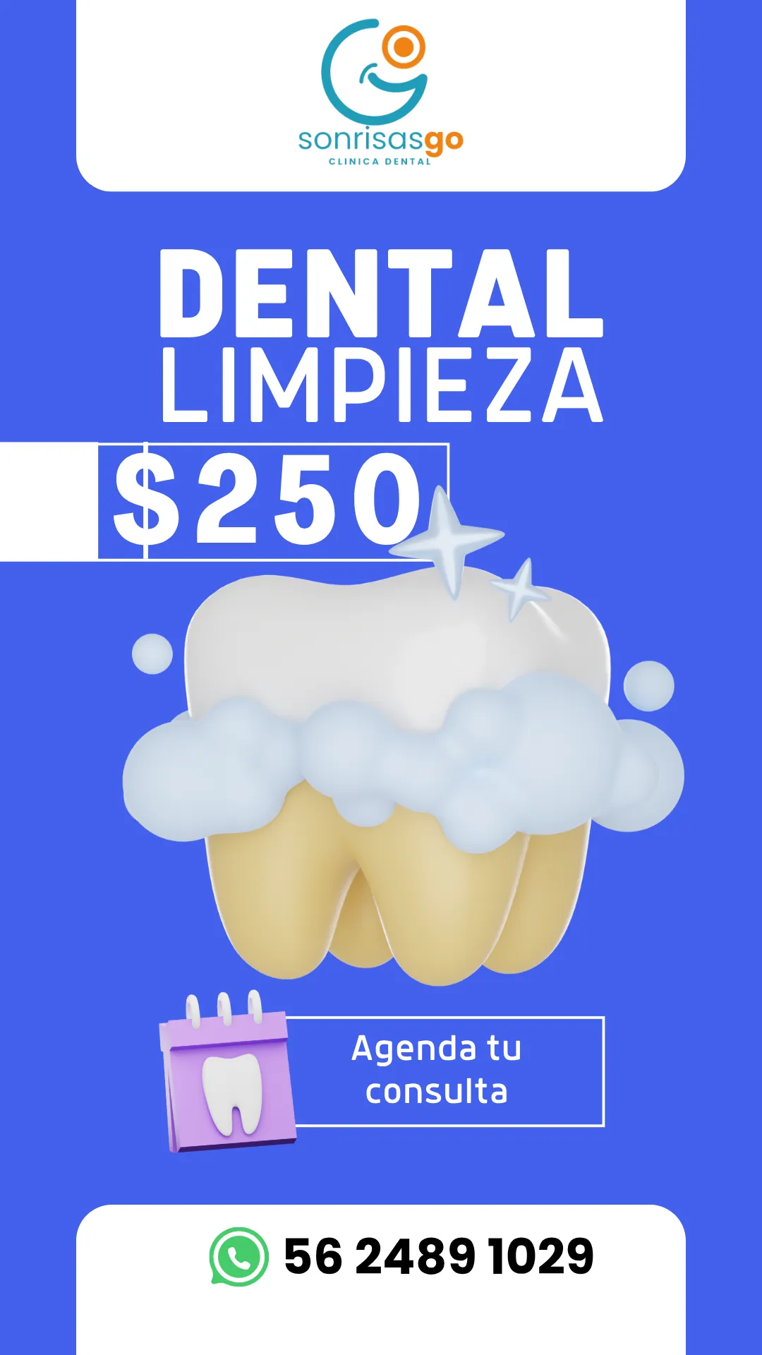 Diseño 115