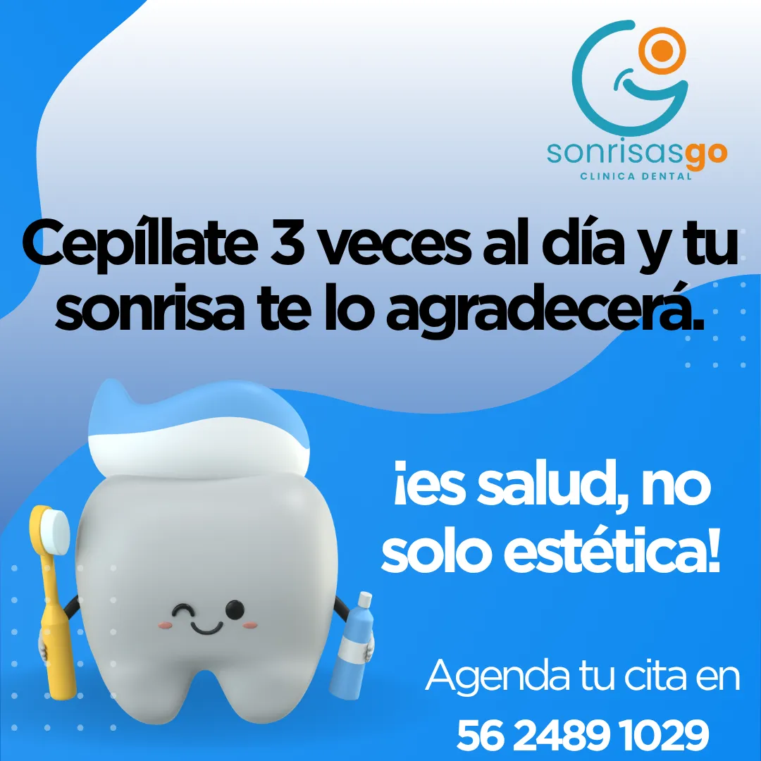 Diseño 47