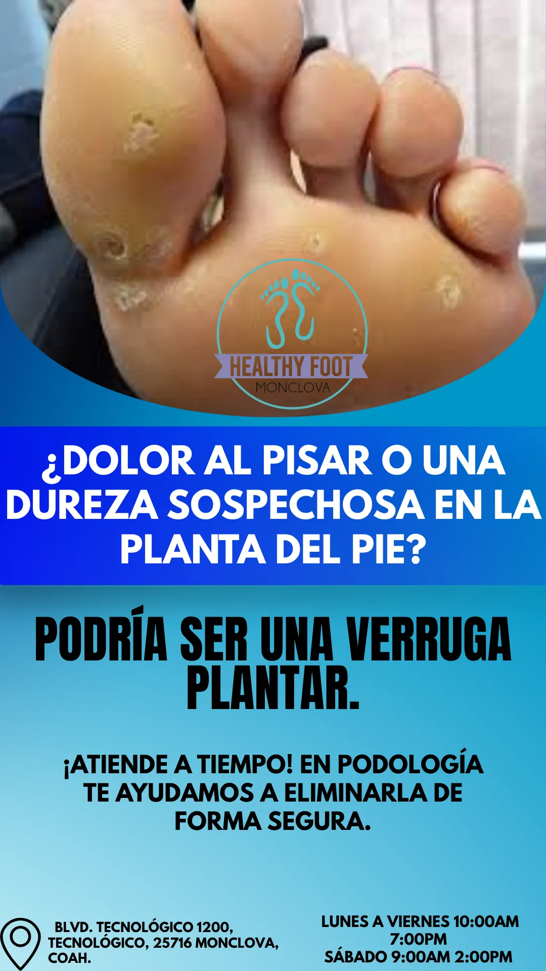 Diseño 124