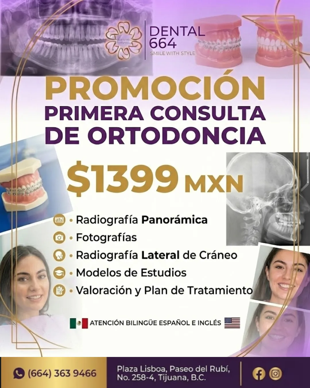 Diseño 15