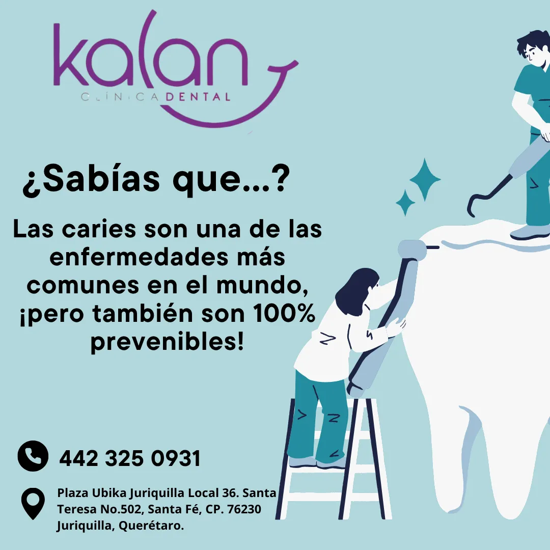 Diseño 109