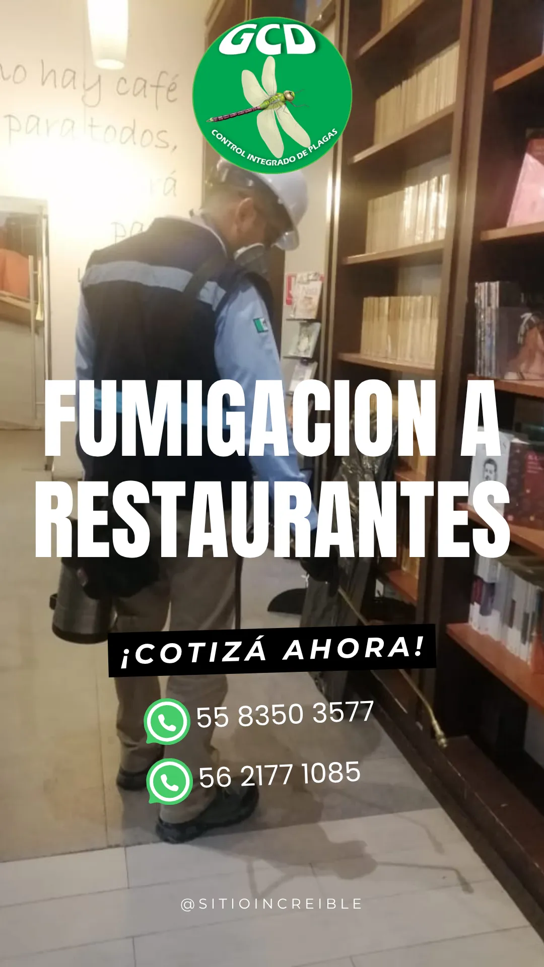 Diseño 13