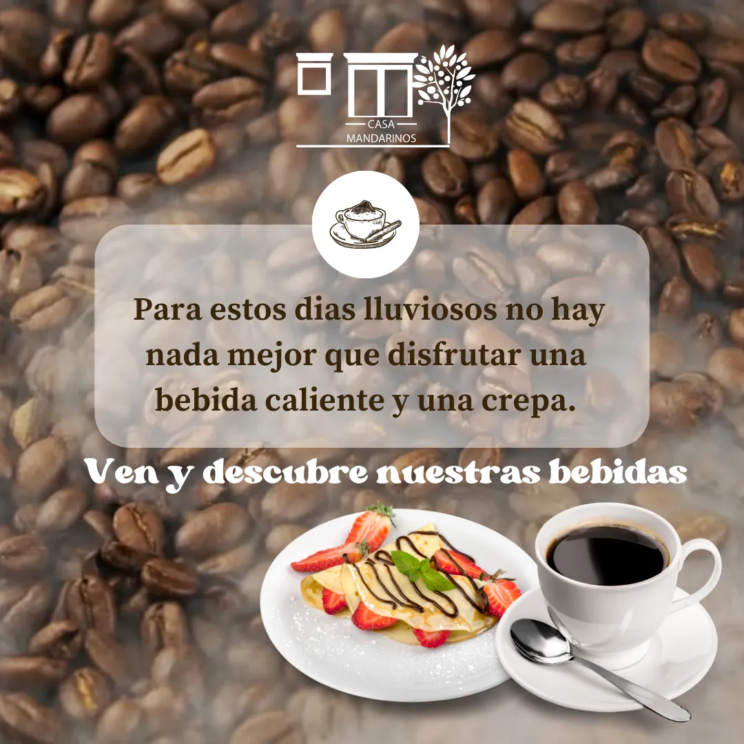Diseño 16