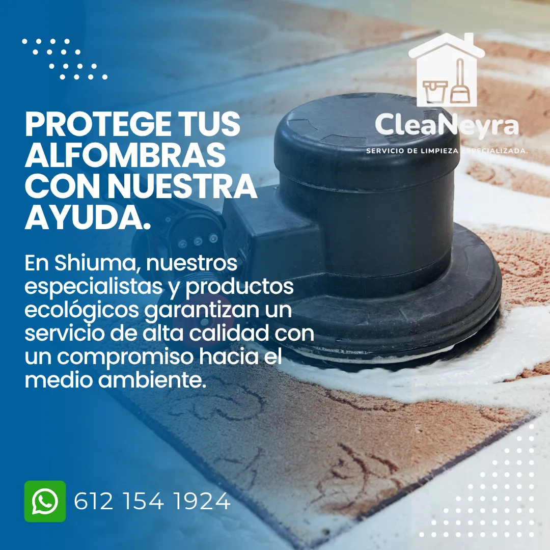 Diseño 10