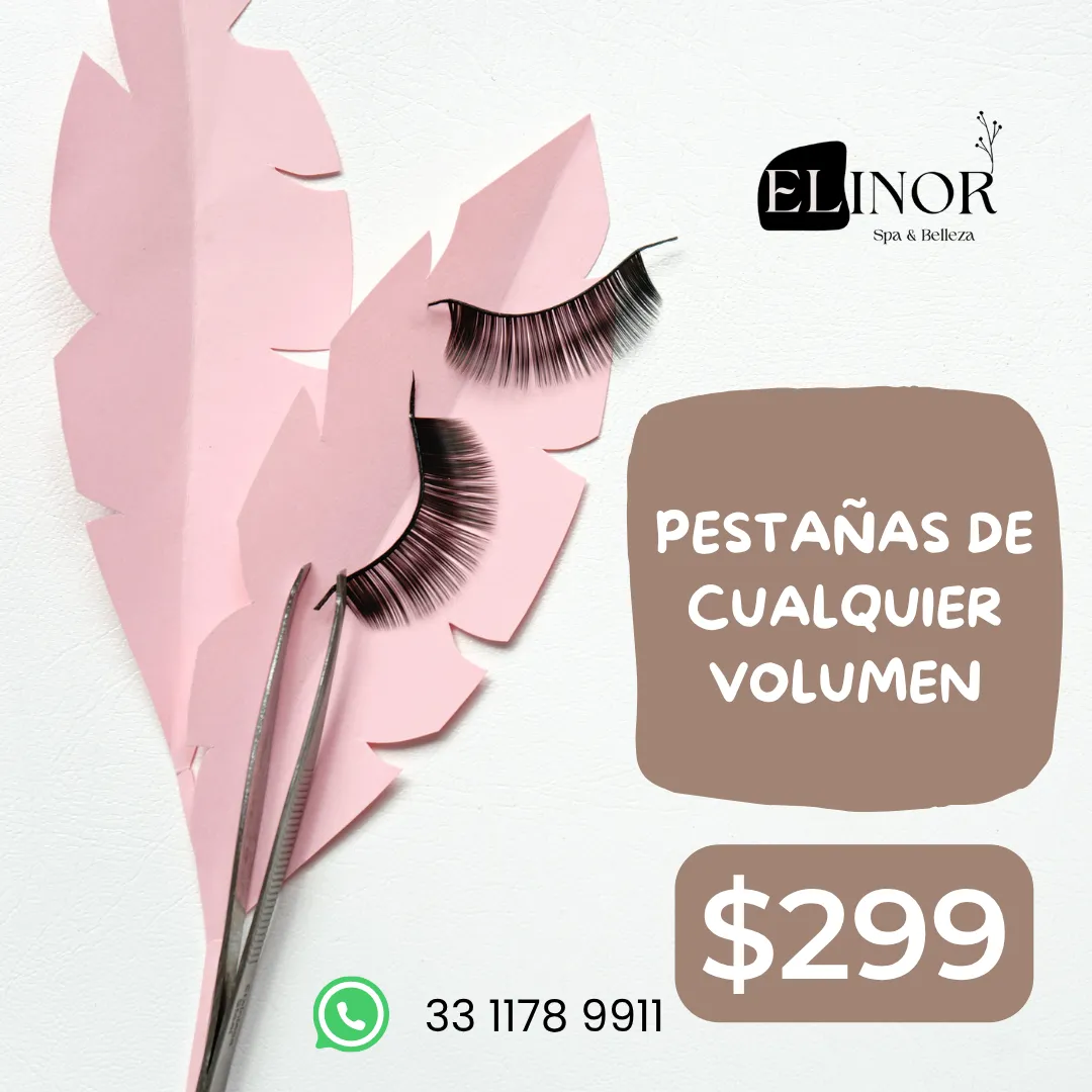 Diseño 13