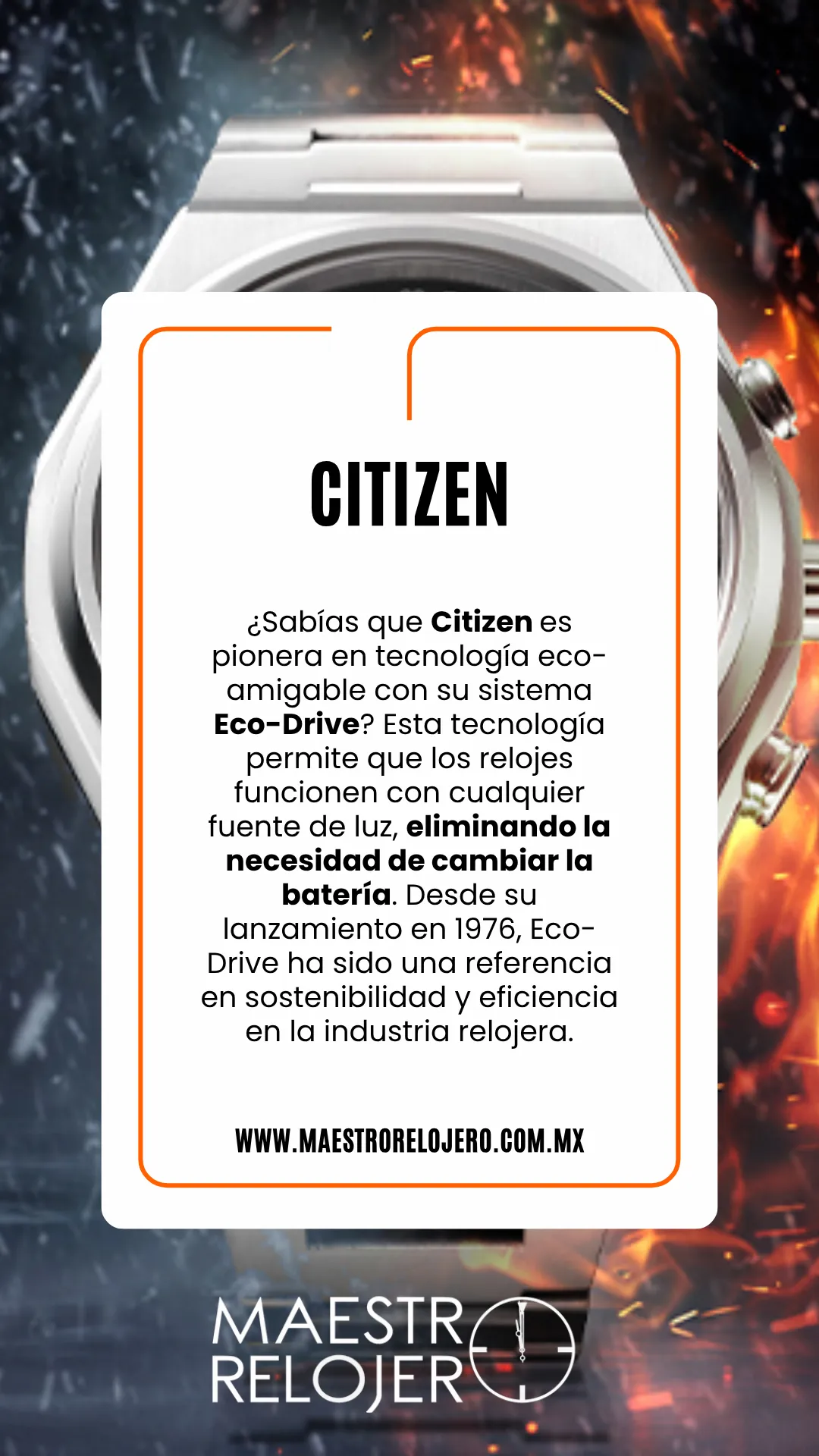 Diseño 84