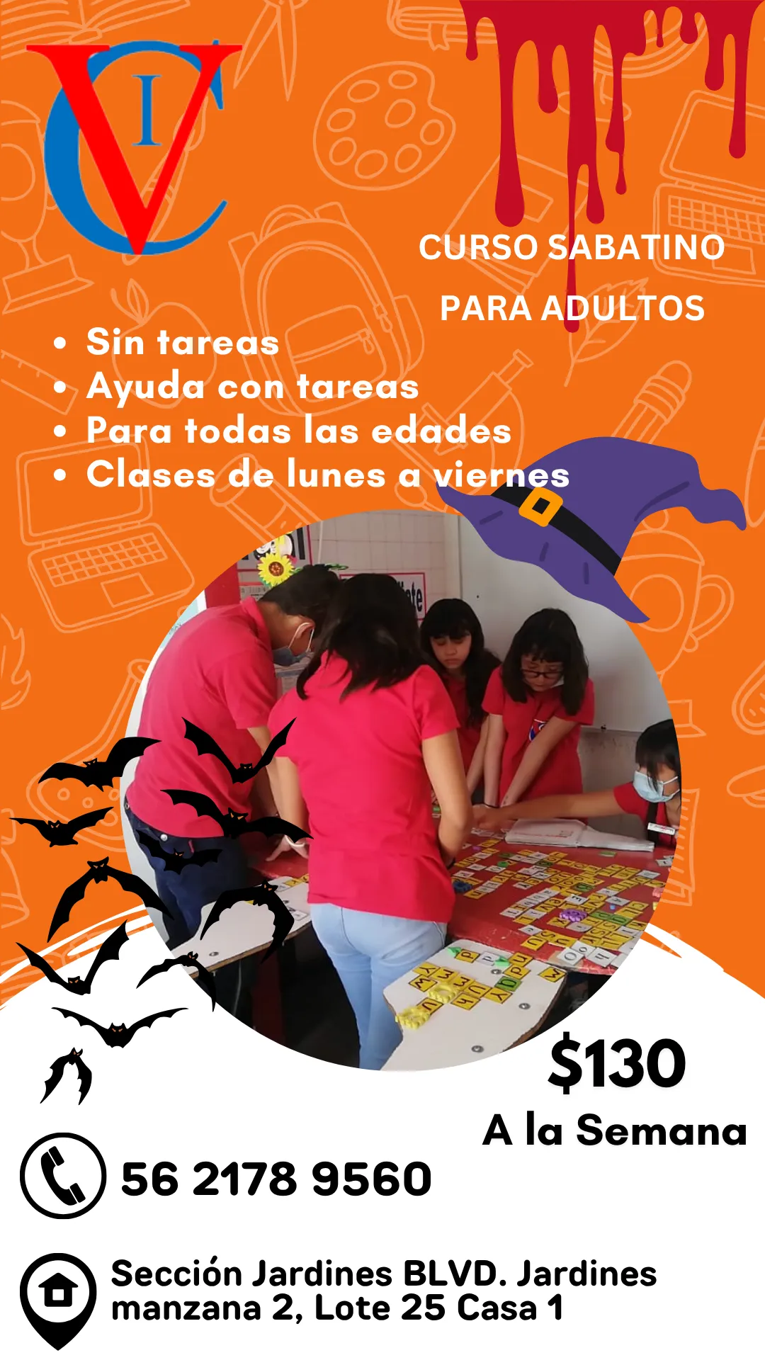 Diseño 73