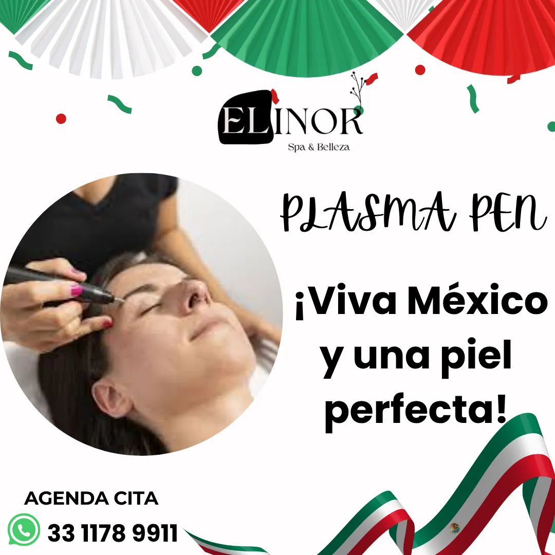 Diseño 113