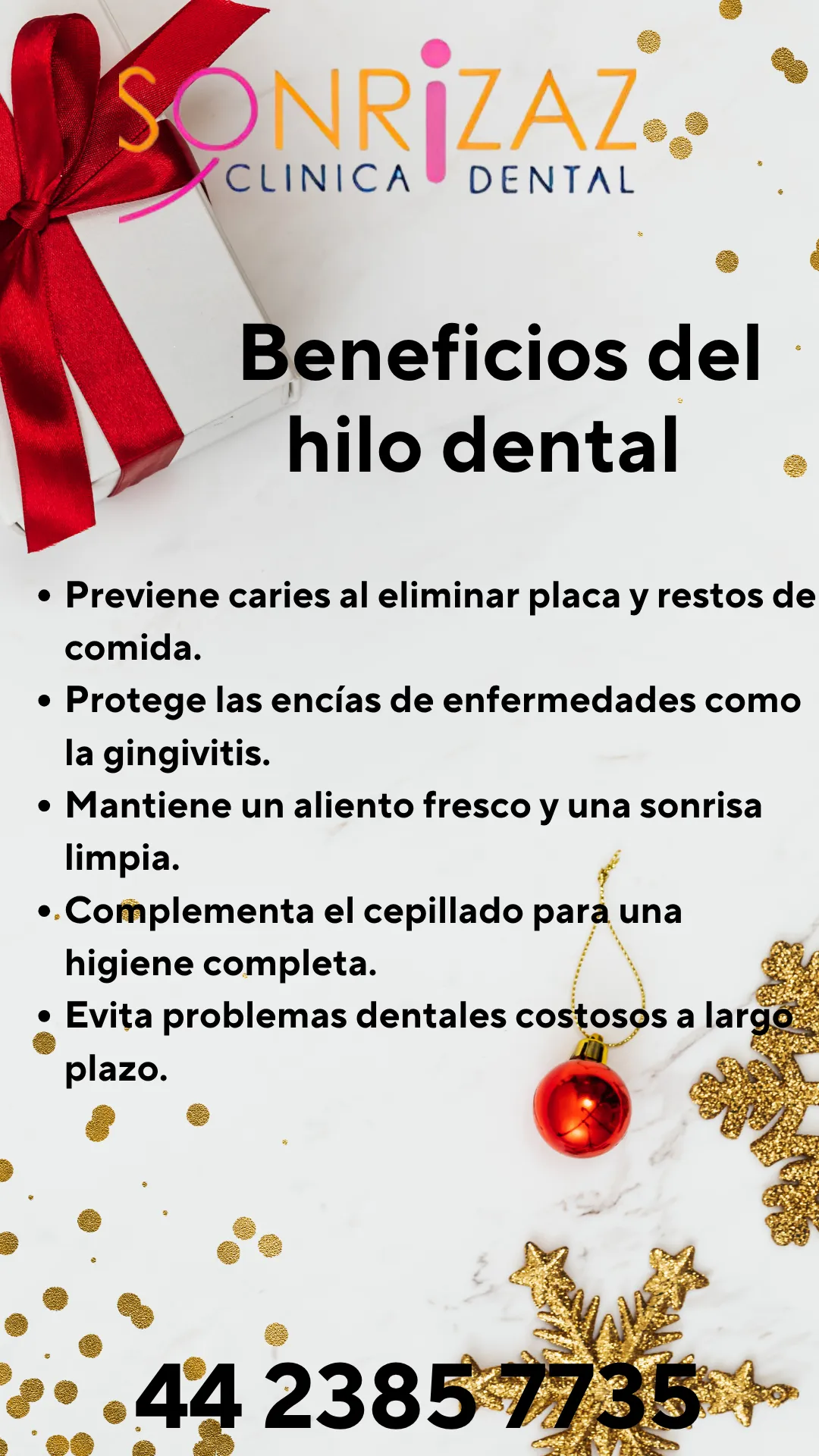 Diseño 61