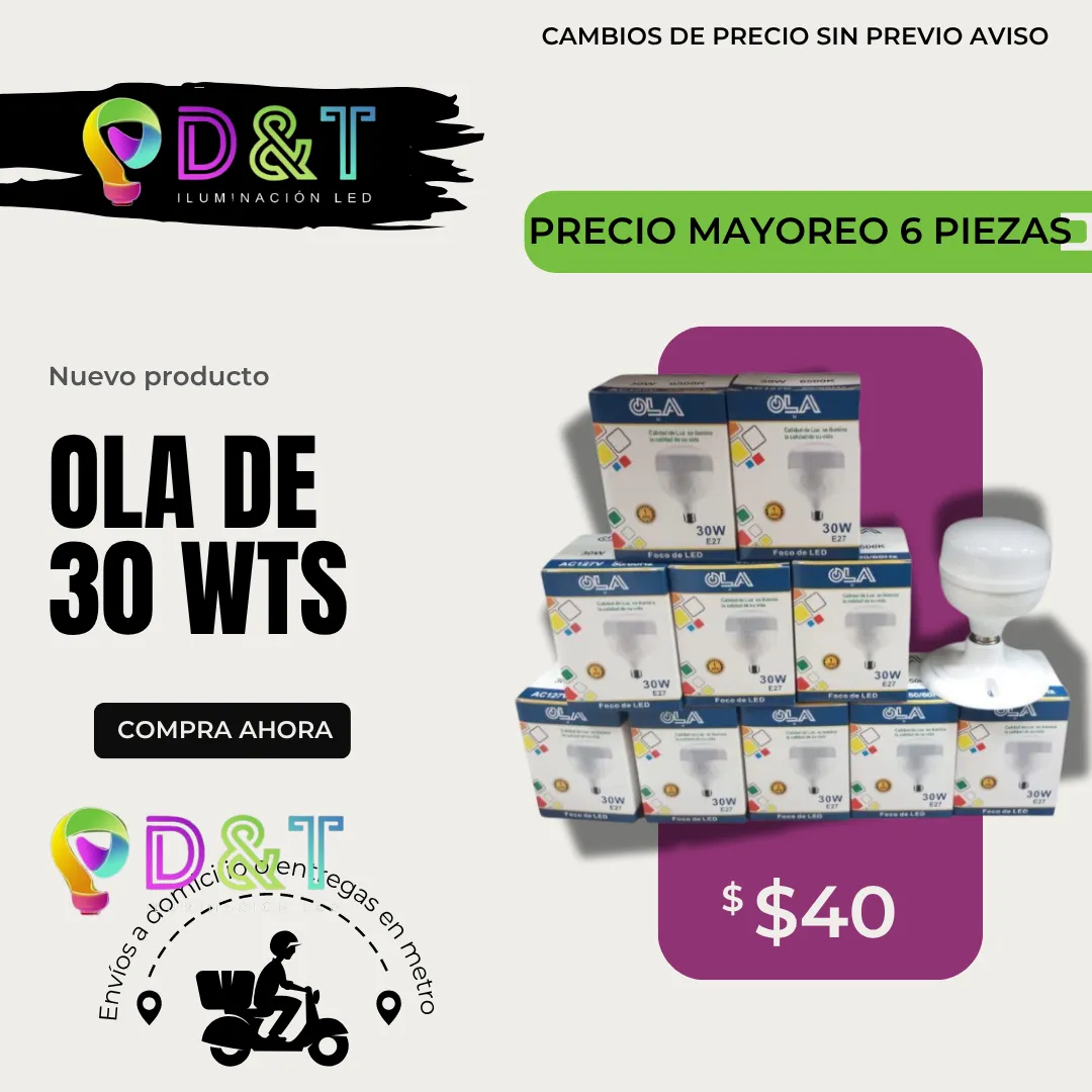 Diseño 6