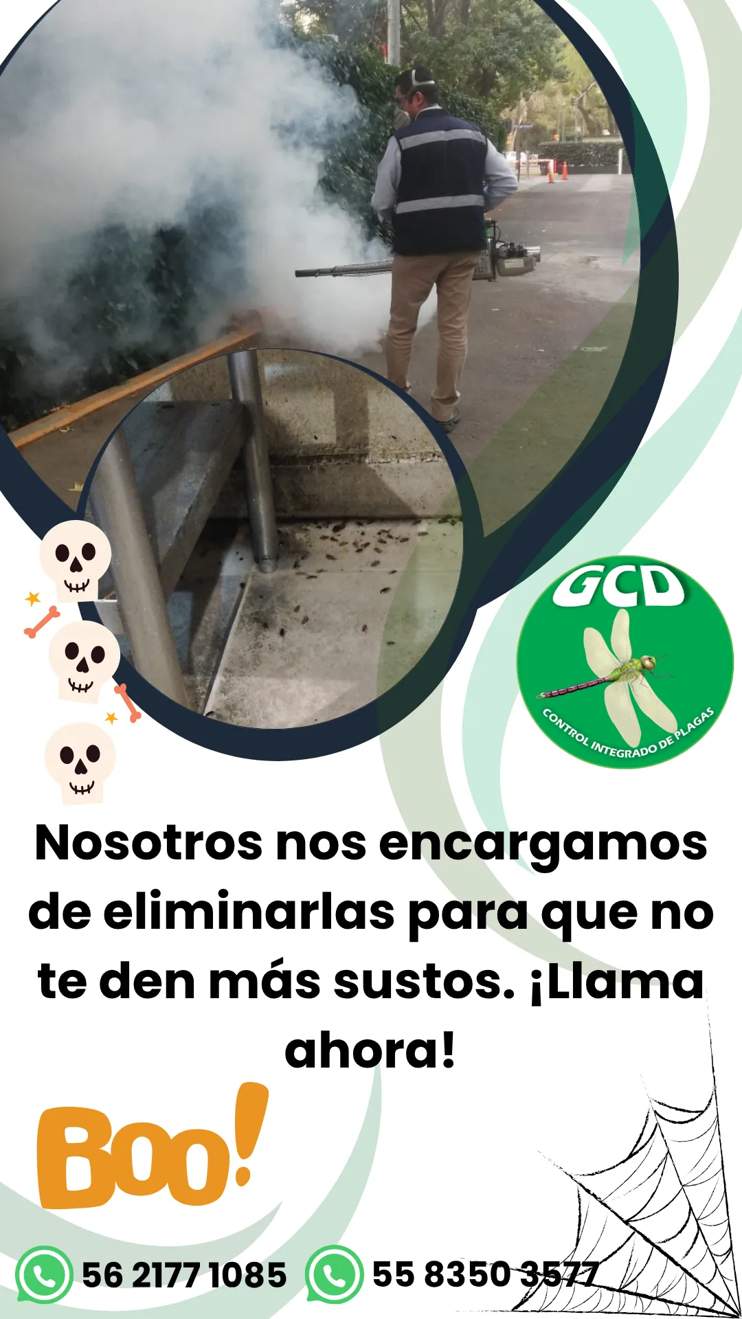 Diseño 111