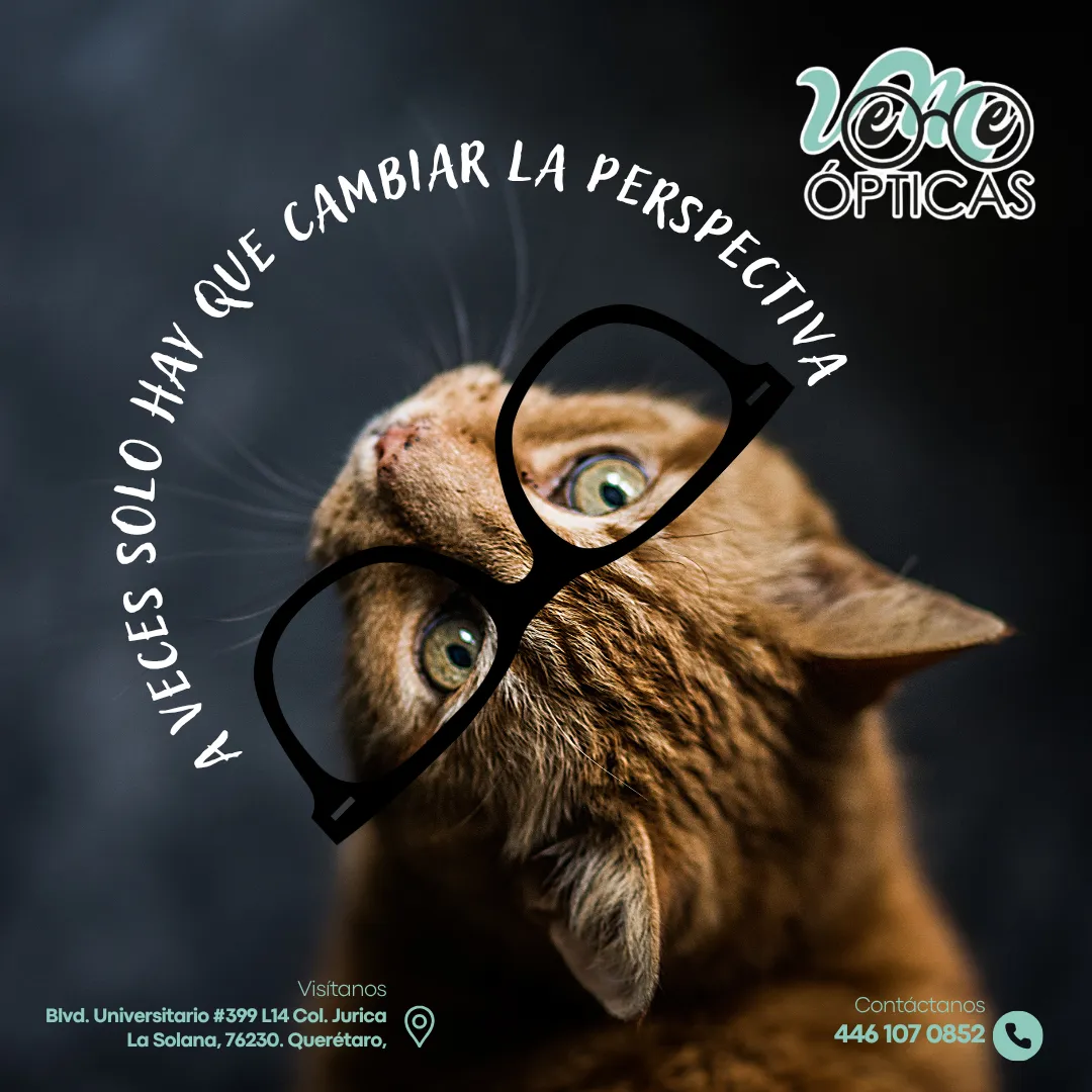 Diseño 21