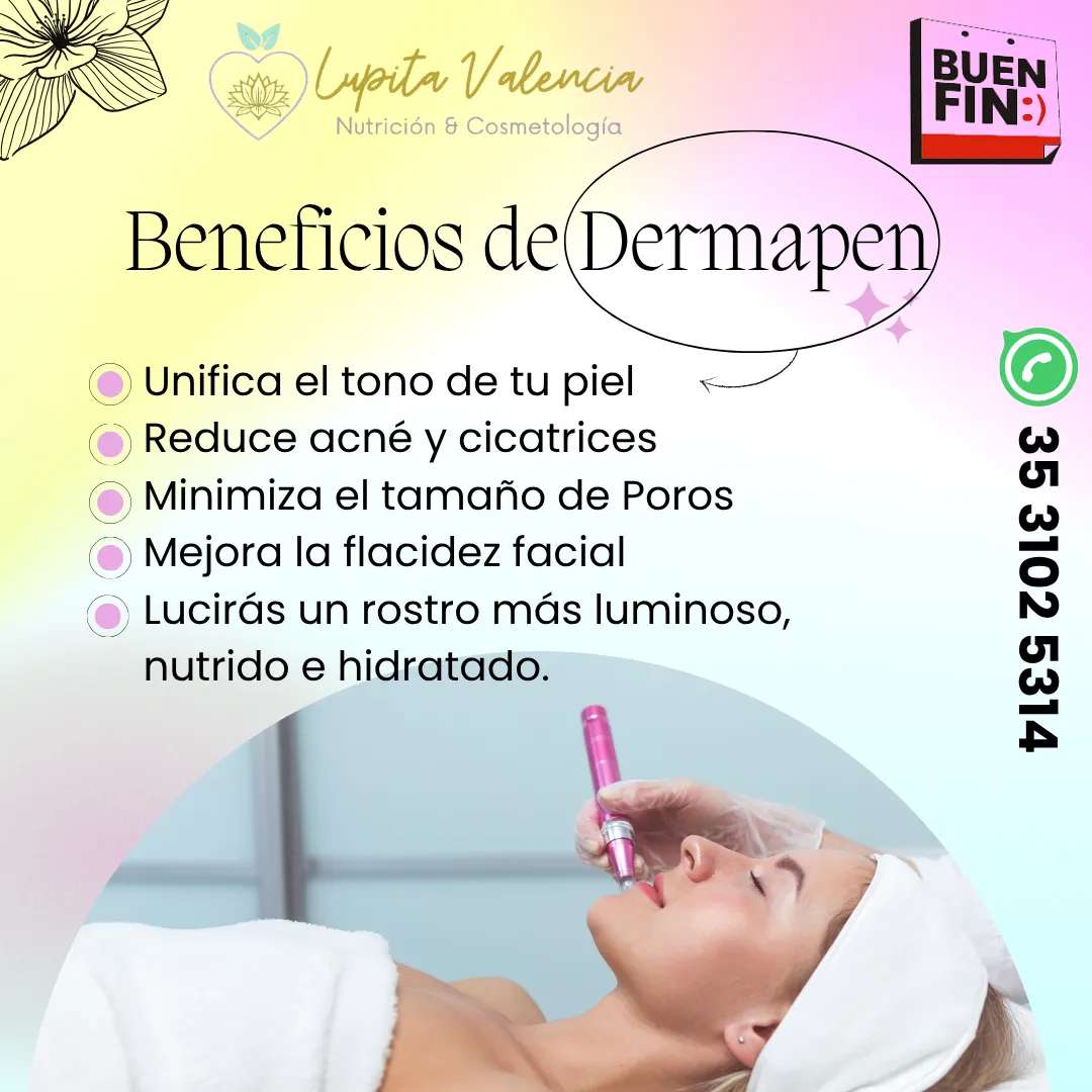 Diseño 81
