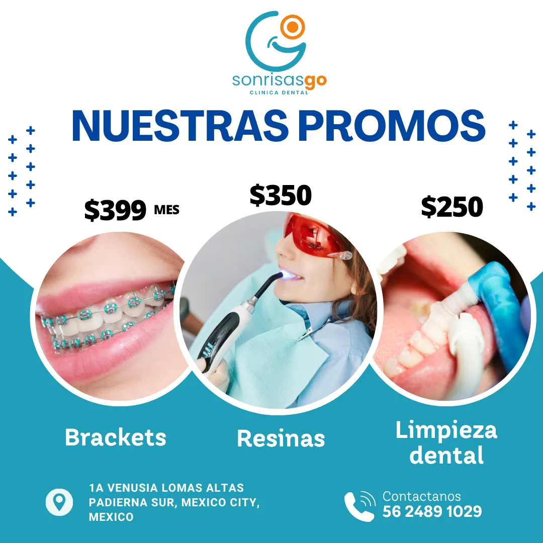 Diseño 113