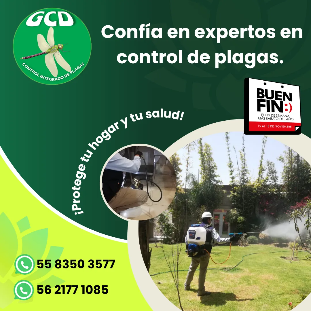 Diseño 140