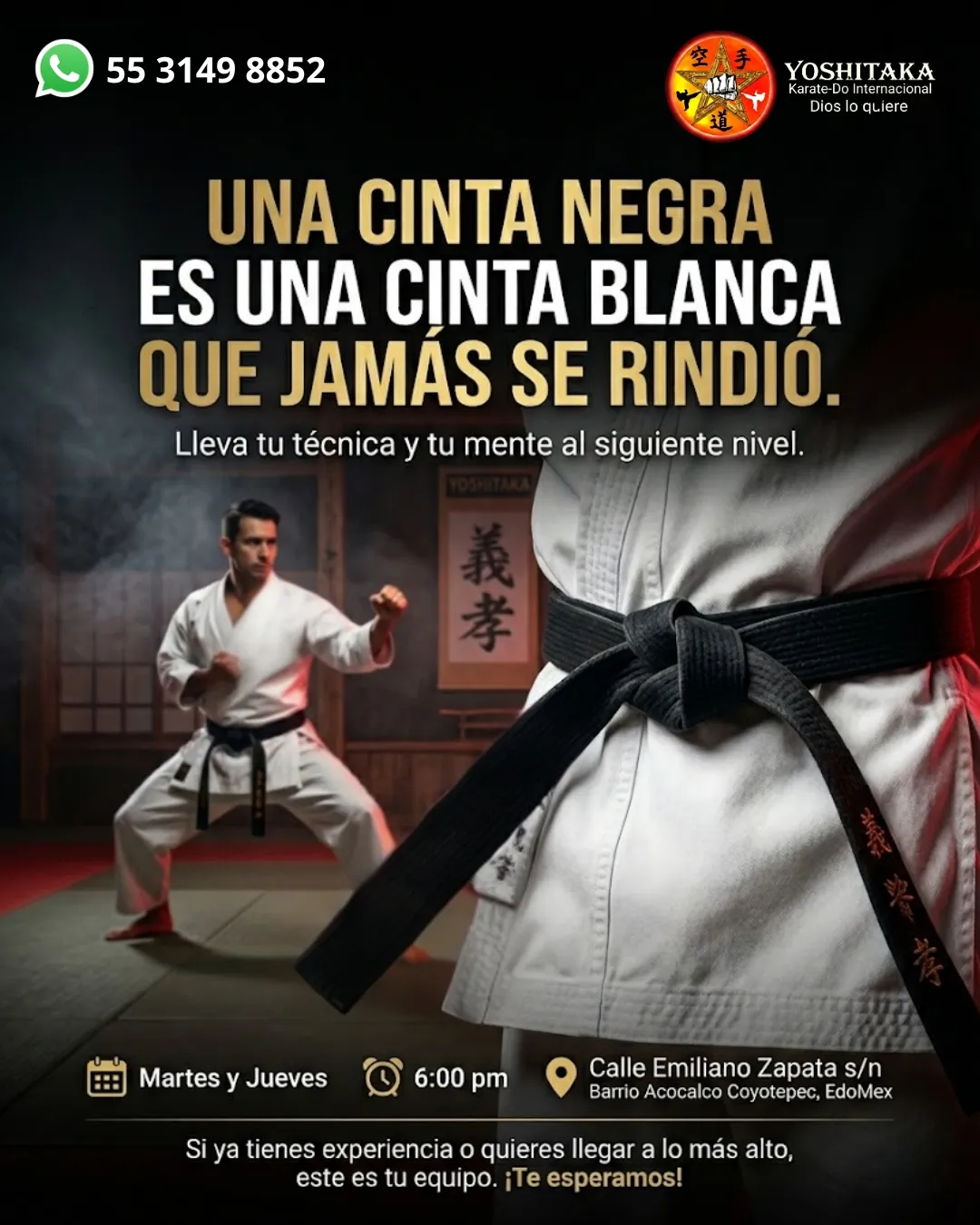Diseño 3