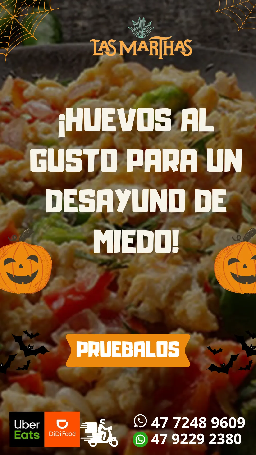 Diseño 16