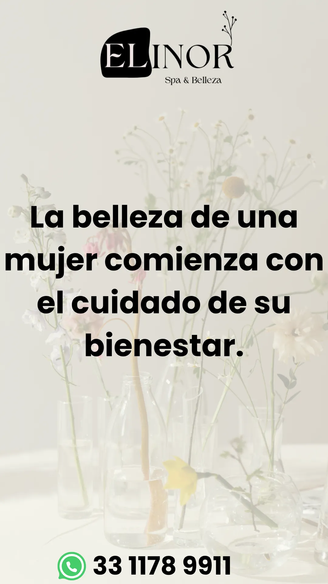 Diseño 65