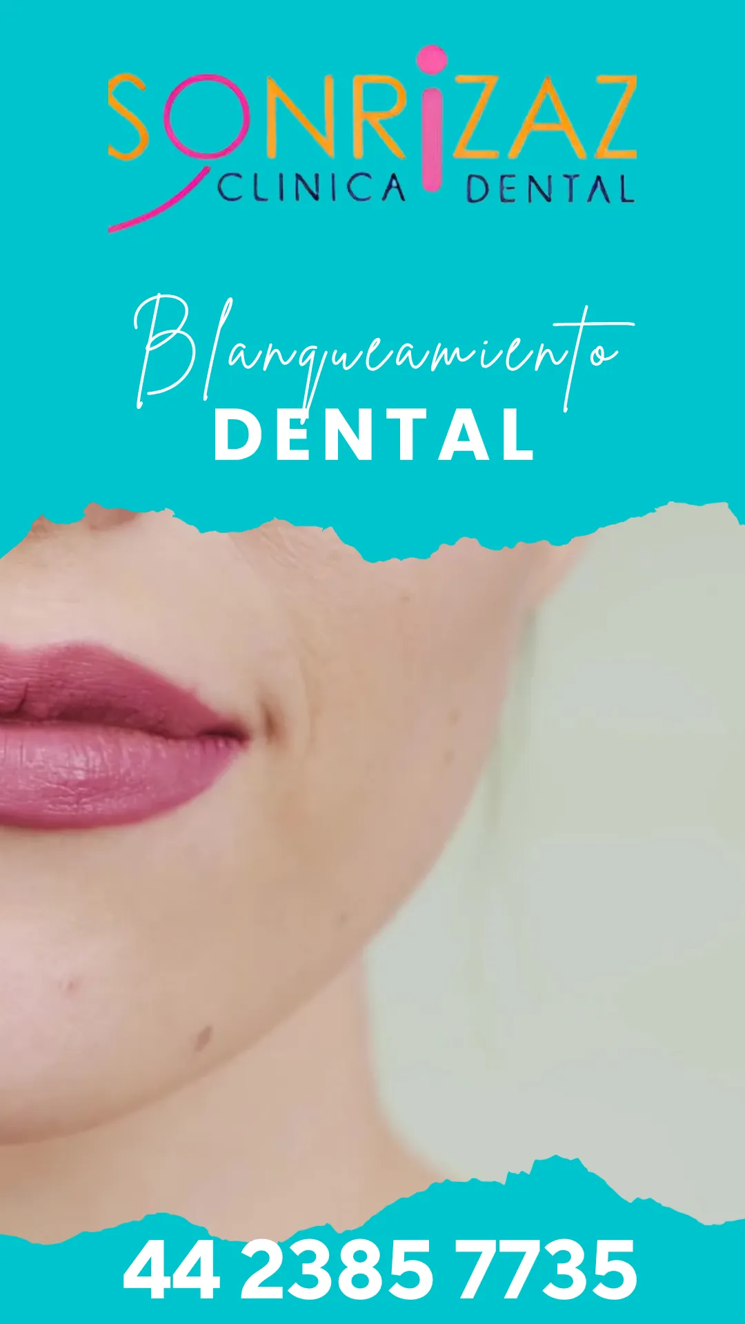 Diseño 26
