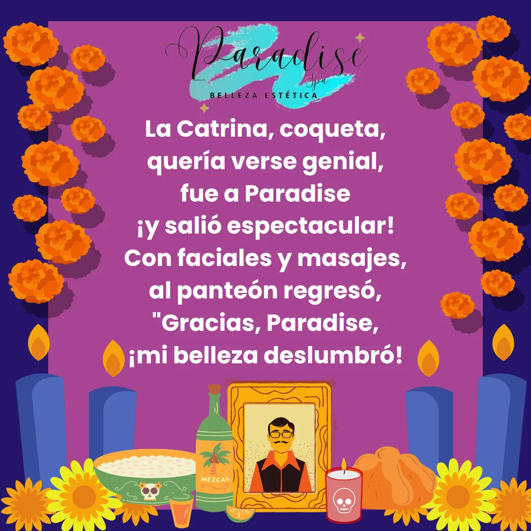 Diseño 12