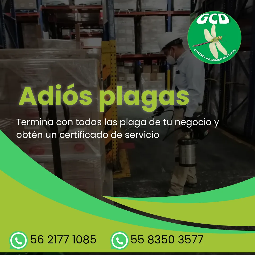 Diseño 35