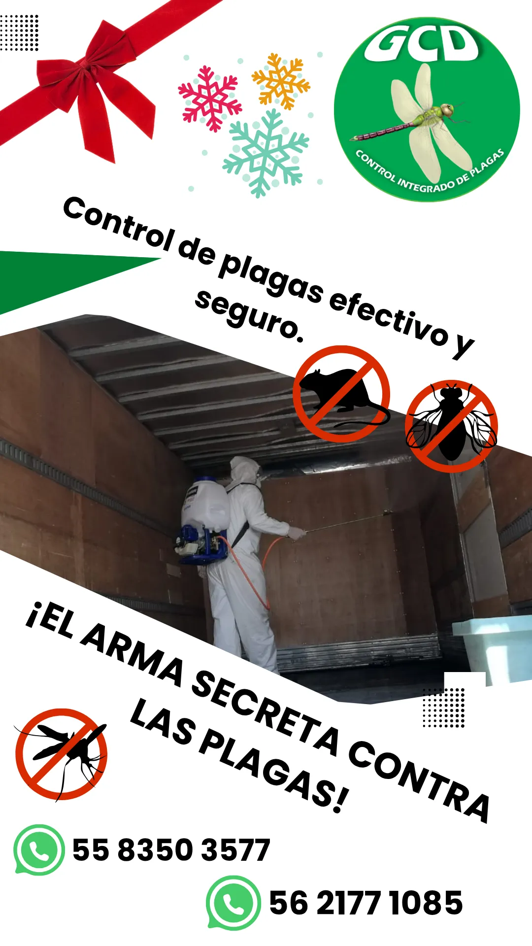 Diseño 10