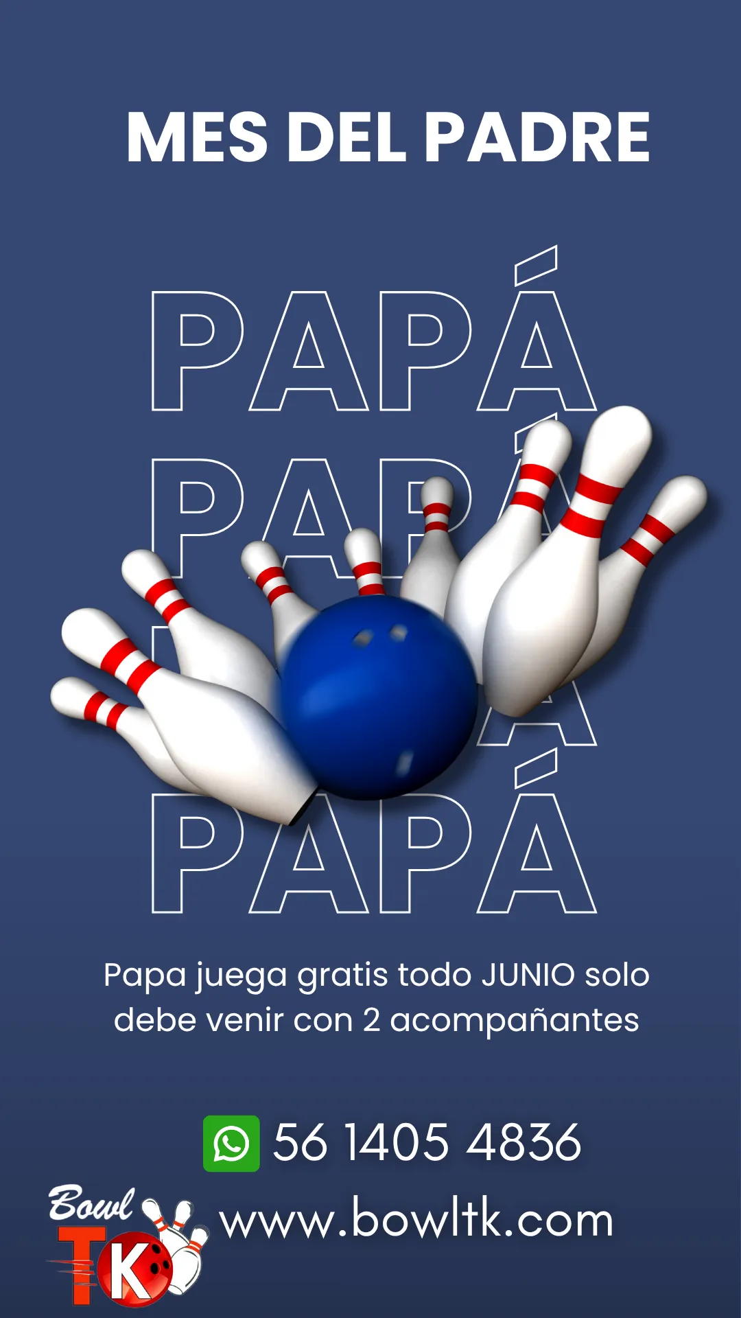 Diseño 33