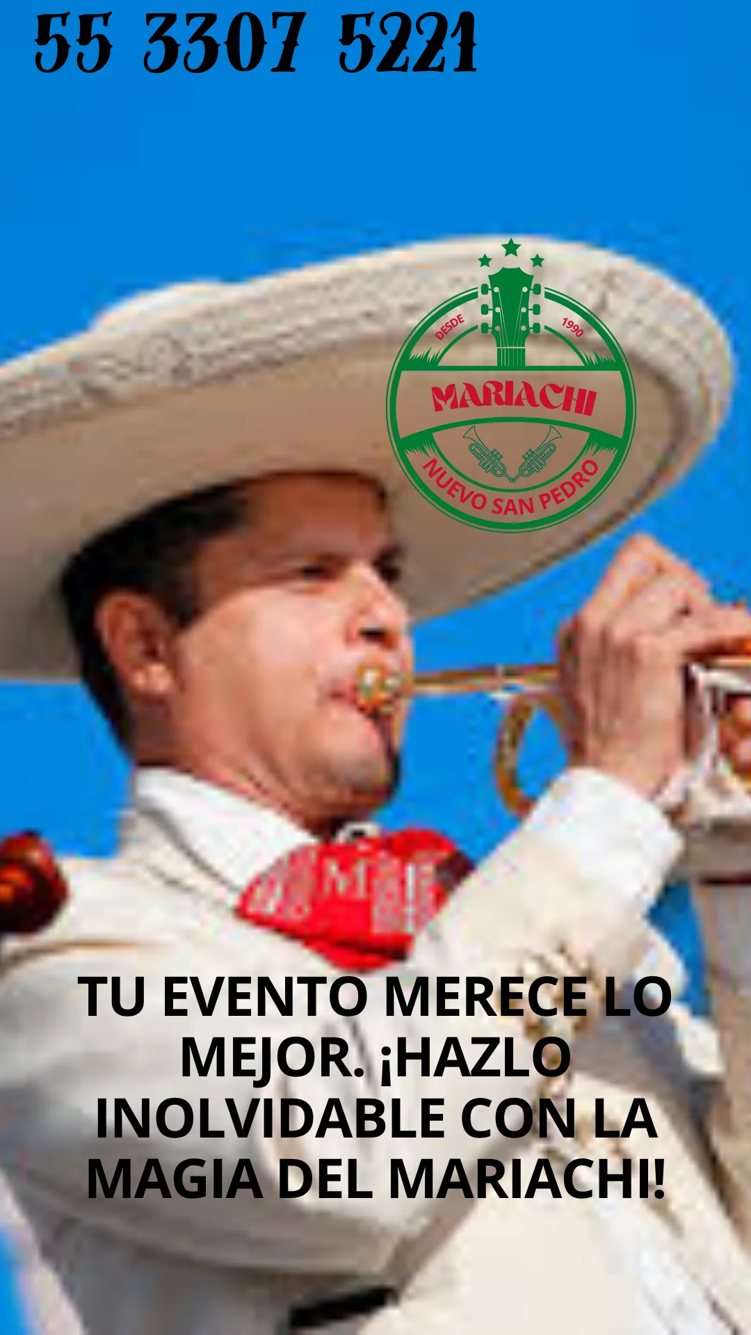 Diseño 24