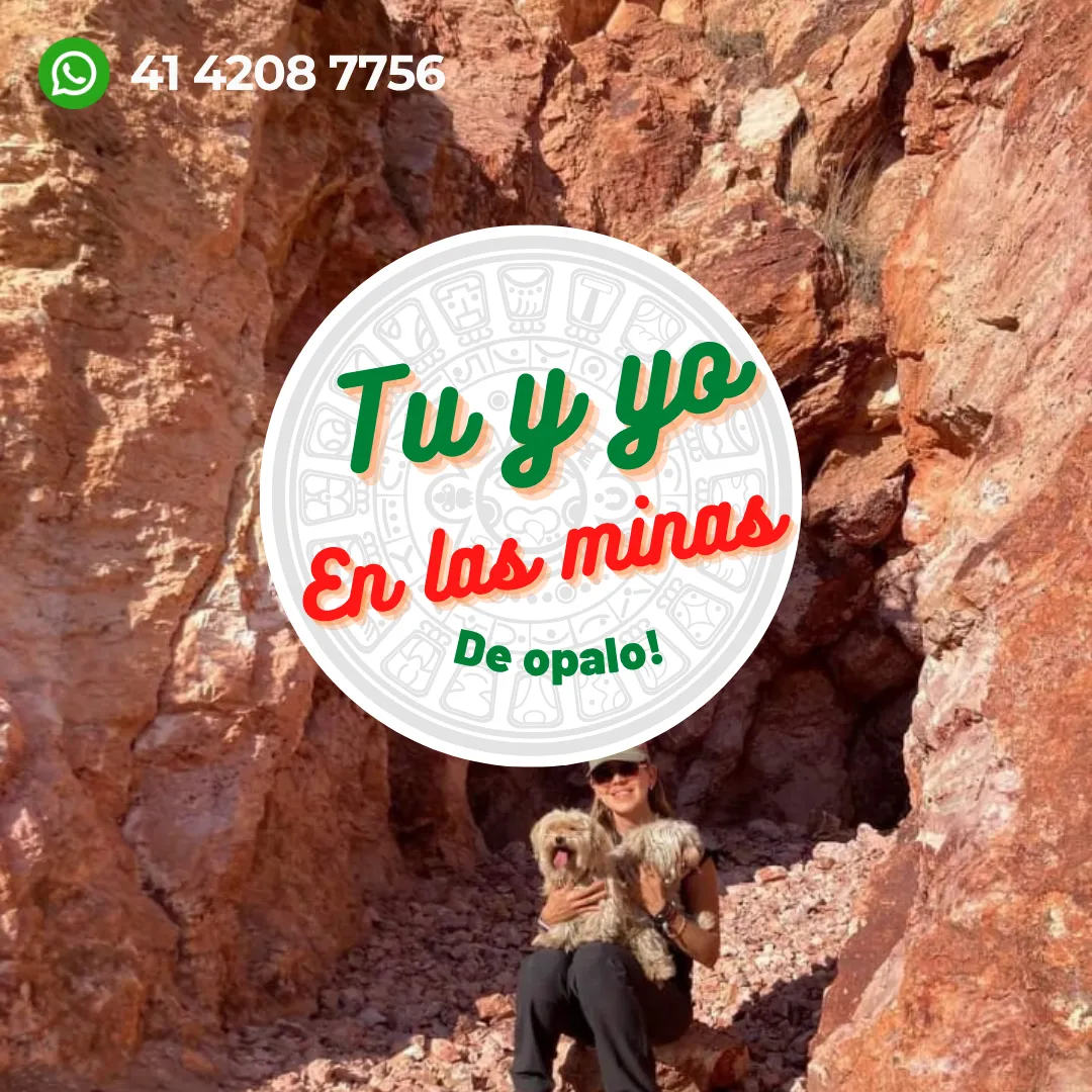 Diseño 4
