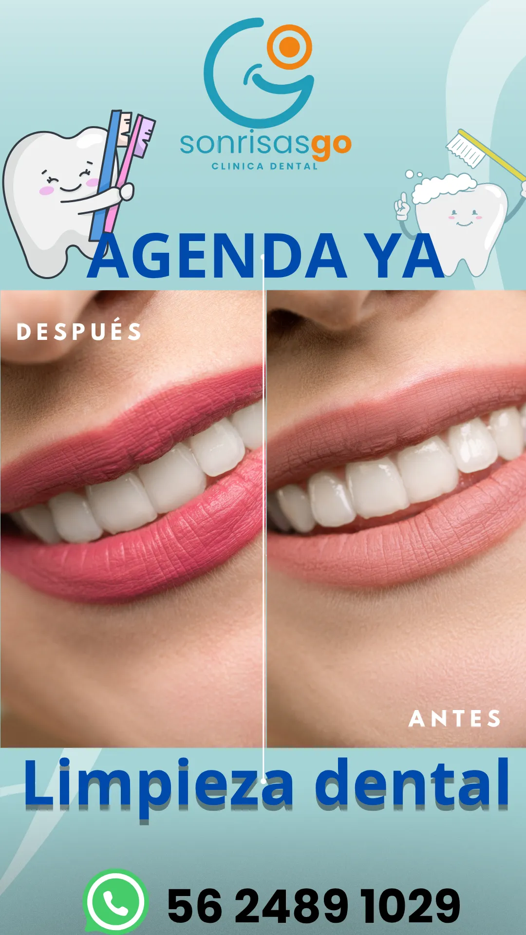 Diseño 31
