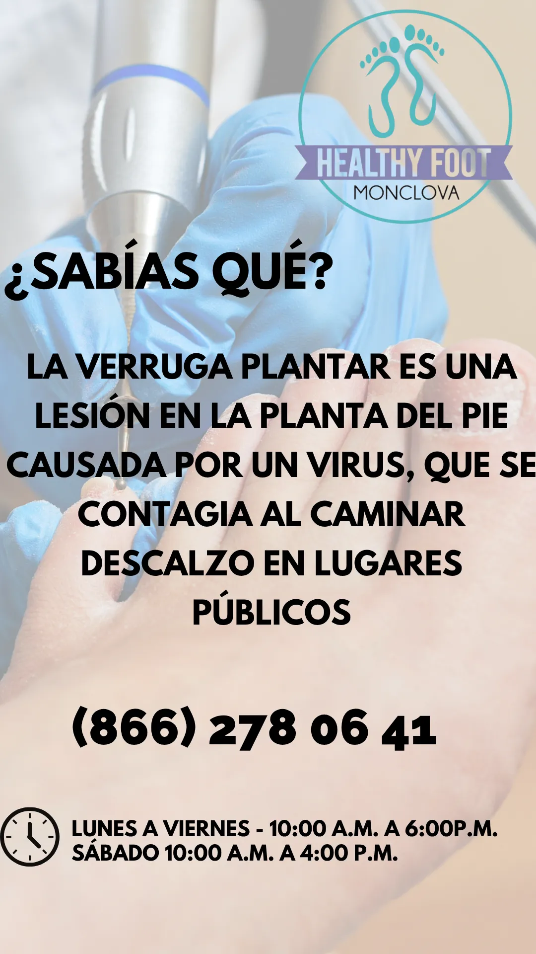 Diseño 16