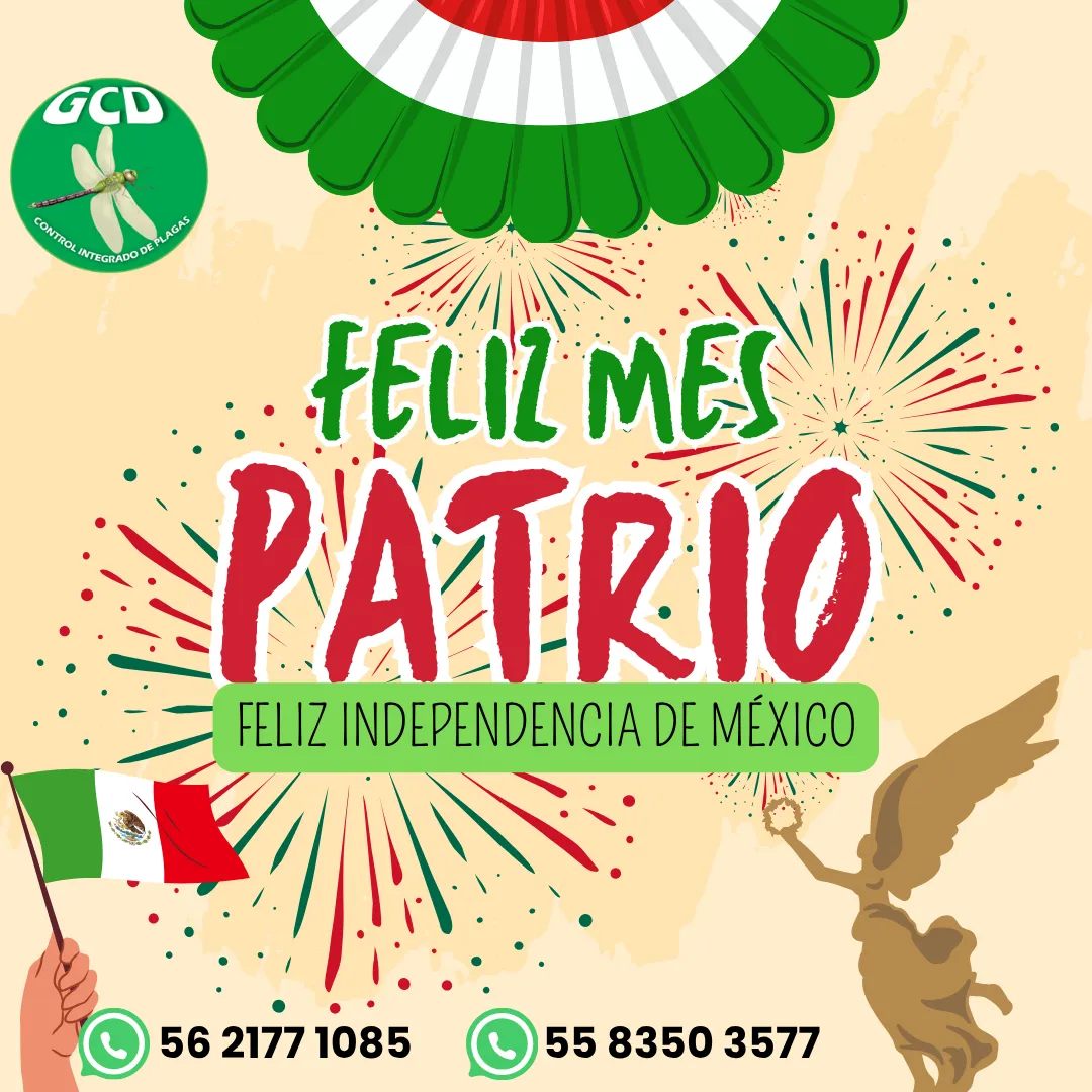 Diseño 86