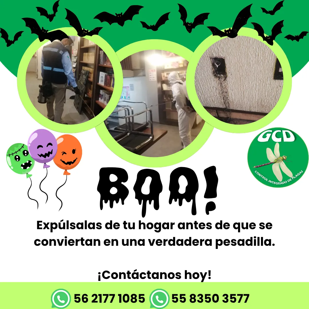 Diseño 112
