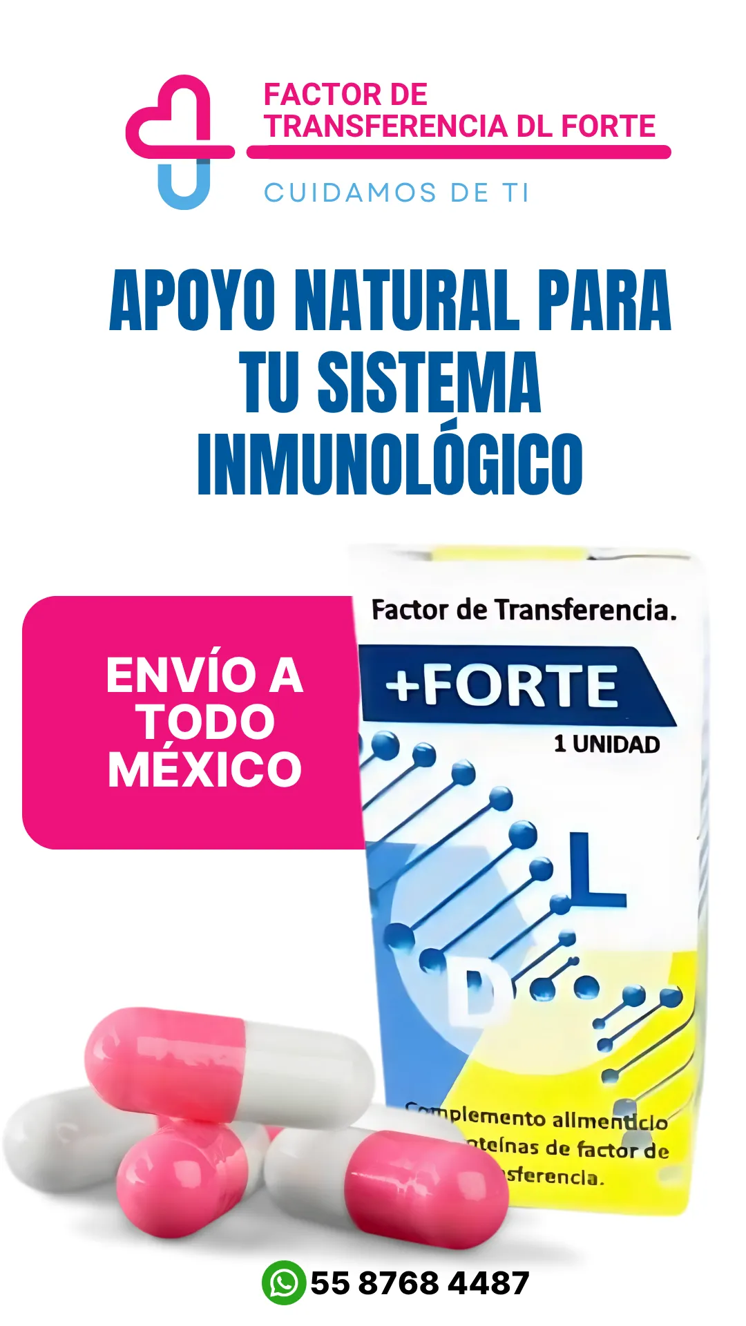 Diseño 11