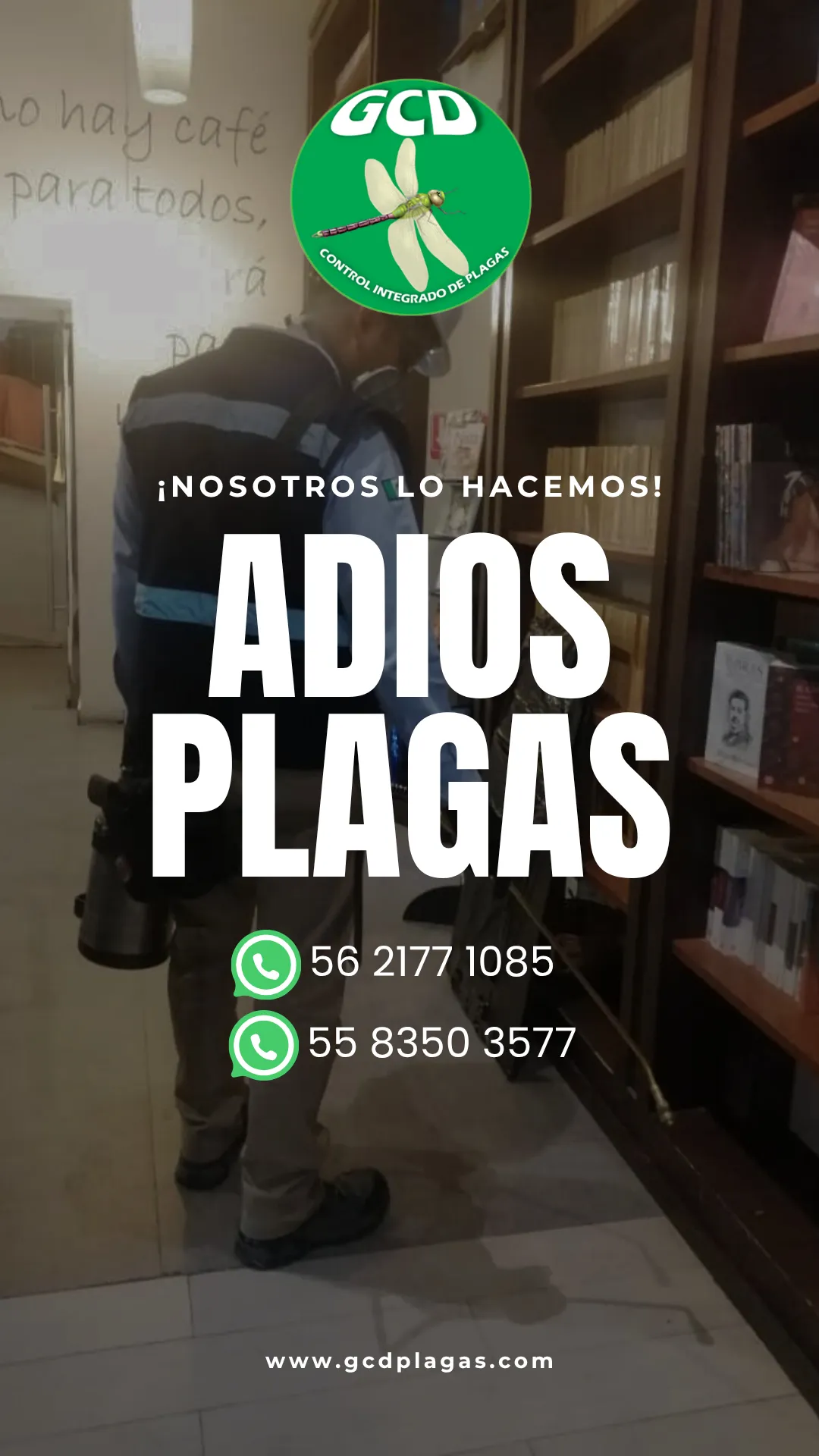 Diseño 19